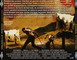 VALHALLA RISING LE GUERRIER DES TENEBRES